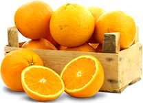 Organik Portakal 1 KG